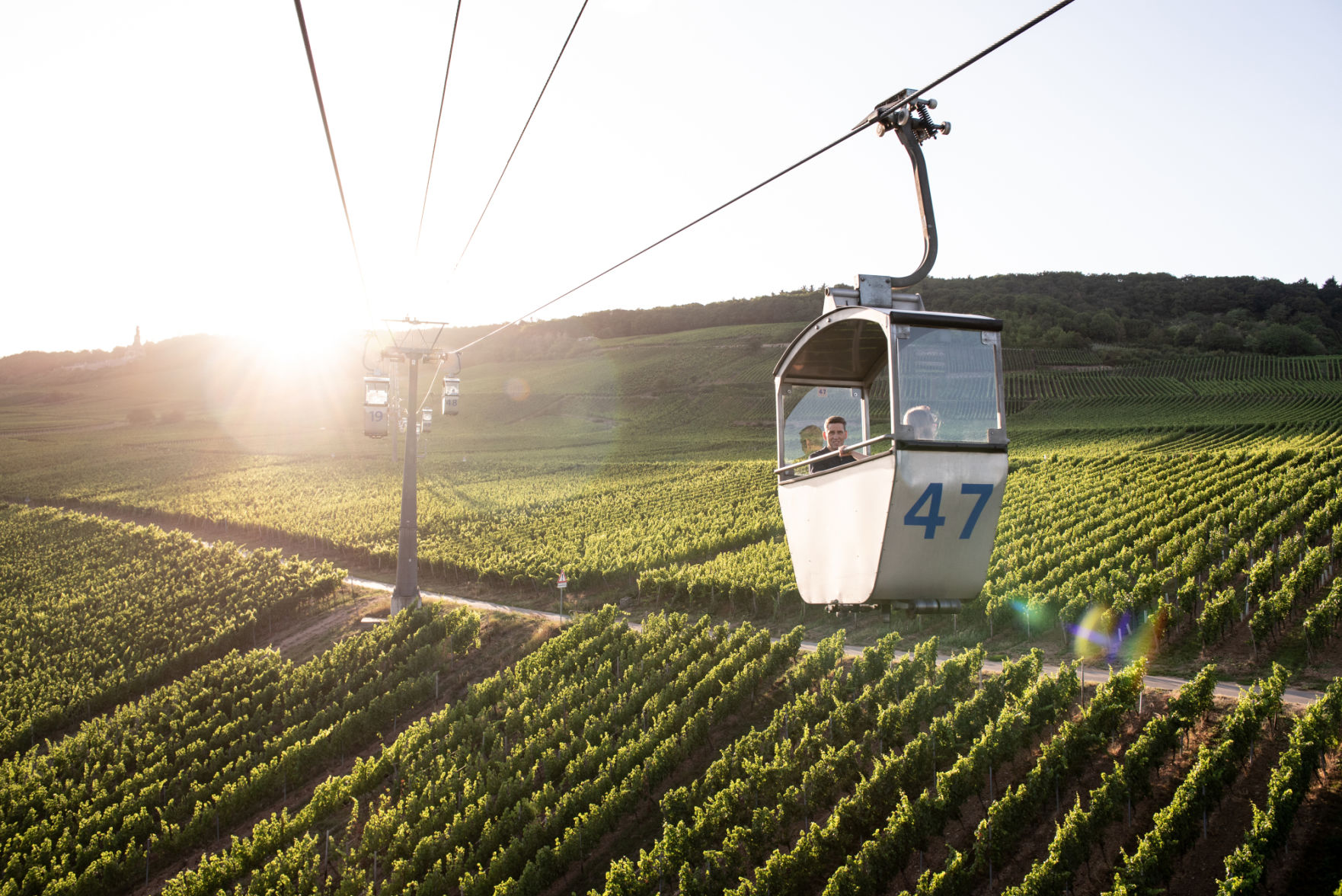 German wine finds its sweet spot